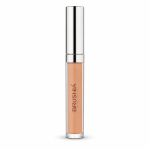 Concealer High Coverage