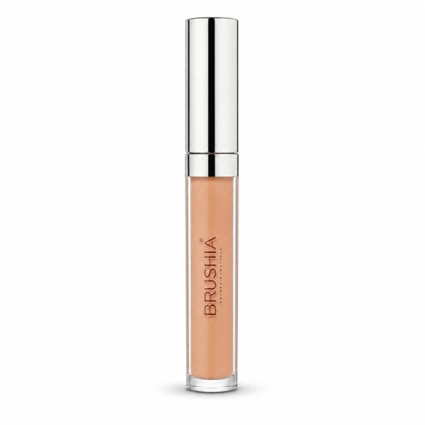 Concealer High Coverage