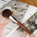 Brown set for face 9pcs