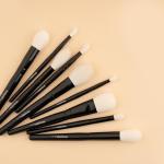 Eye and Face brush set 10pcs